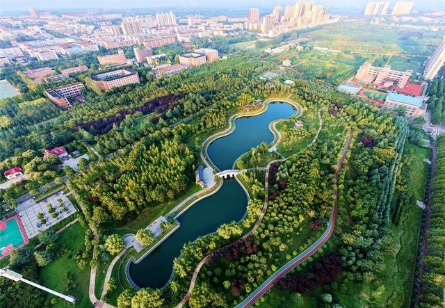 洛阳雨后城市氧吧美如画 孟津绿化工程织就生态锦