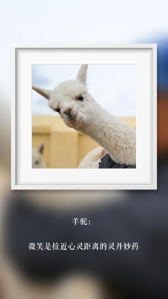 世界微笑日丨那些“天生爱笑”的萌物们