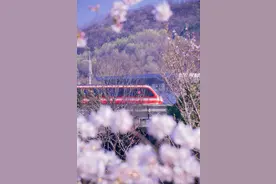 清明假期江苏多地文旅火热，地铁迎来大客流图片