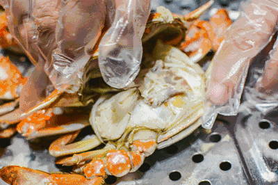 爱在日照丨带上你的心跳，10月来日照签到！