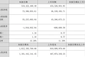 同星科技：2023年上半年净利润7330.61万元 同比增长58.23%图片