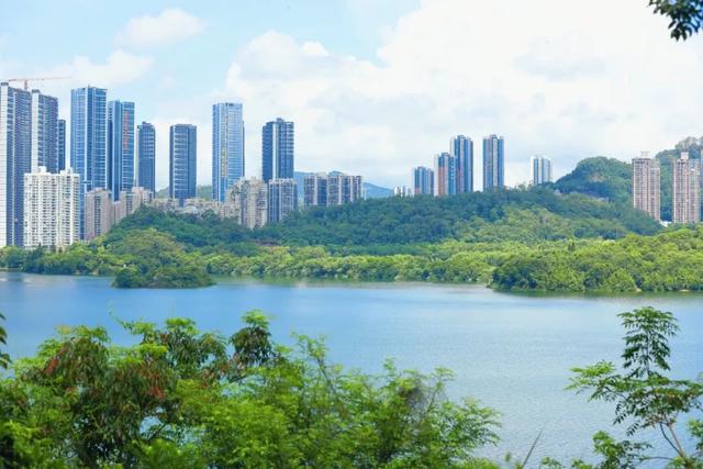 7公里黄金绿道！一天尽揽湖光山色