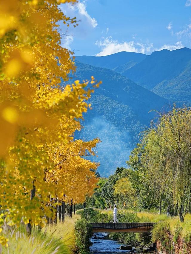 网友不建议推广？来大理，给你“镀层金”