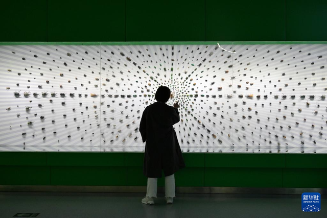 走进西北农林科技大学博览园