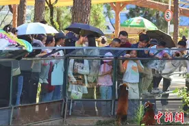 出游新风潮：中国游客沉浸于“动物世界”图片