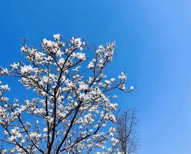 不负春光，共赴美好