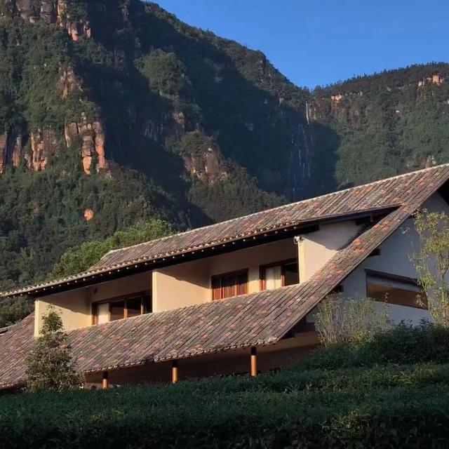 在上班和上进中，选择了上茶——住进红岩坝民宿，把生活泡成一杯茶​