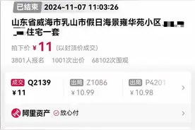 女子11元捡漏拍下海景房，拍卖公司称准备办过户！平台回应图片