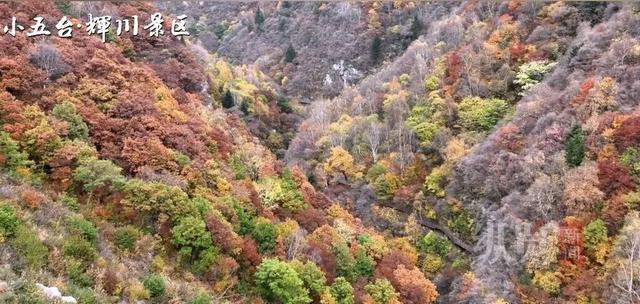 古城City Walk，就到河北这些宝藏小城，出发→
