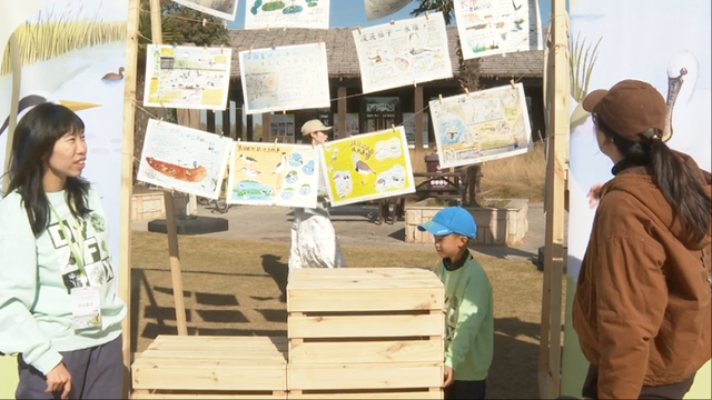 2025崇明东滩观鸟生活季启幕