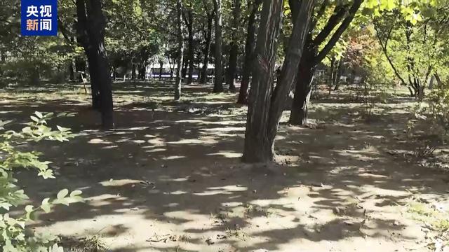 让文明为自然留住美景 别让“捡秋”变“伤秋”