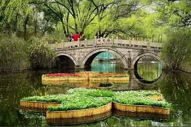 假日“打卡”共青森林公园，这份交通出行攻略请收好→图片