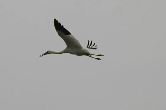 事关跨年，切记：城西这里，不约！不约！