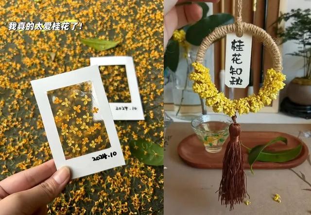 送福利！国庆来这里和萌宠碰个爪吧