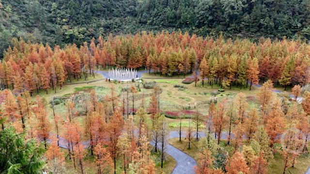 “口袋公园”冬景美