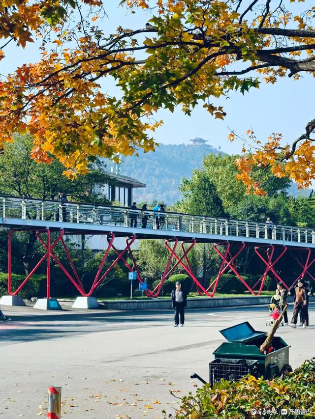 秋高气爽，金色泉城公园