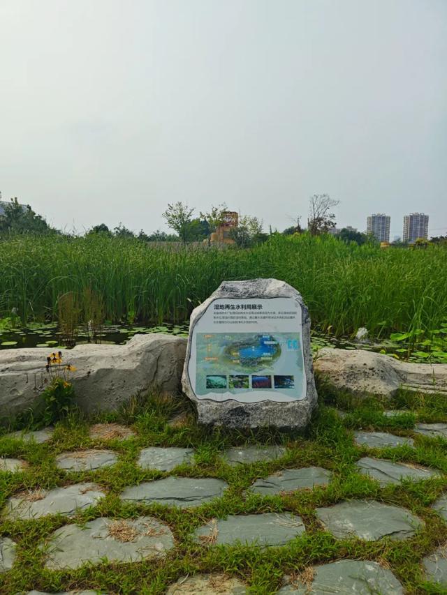热度高！通州这个新公园到底有啥魅力？小编现场实探，附开放时间......
