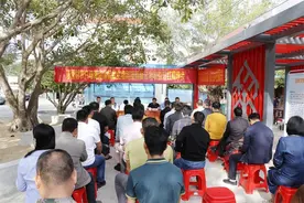 【拼字当头创佳绩】昌江：林下养蜂获收益 特色产业有盼头图片