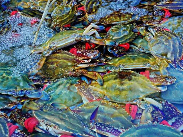 威海人气最旺的早市之一，连游客都说“必打卡”！