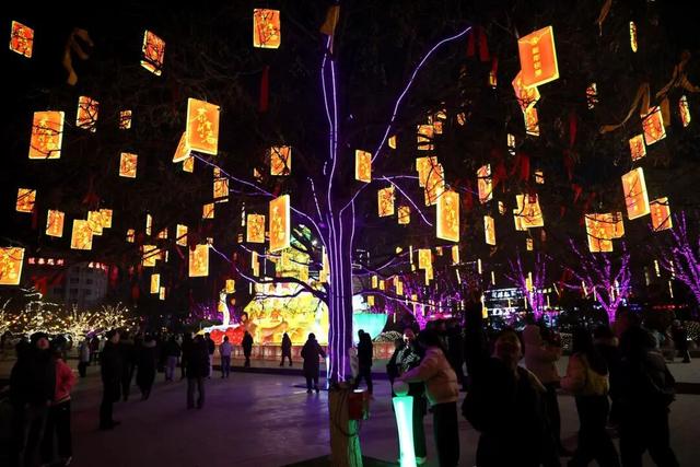 2026迎春灯会 | 点亮即火爆！域外游客纷至沓来好评不断