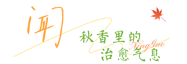 宁国的秋冬，藏着N种让人心动的打开方式