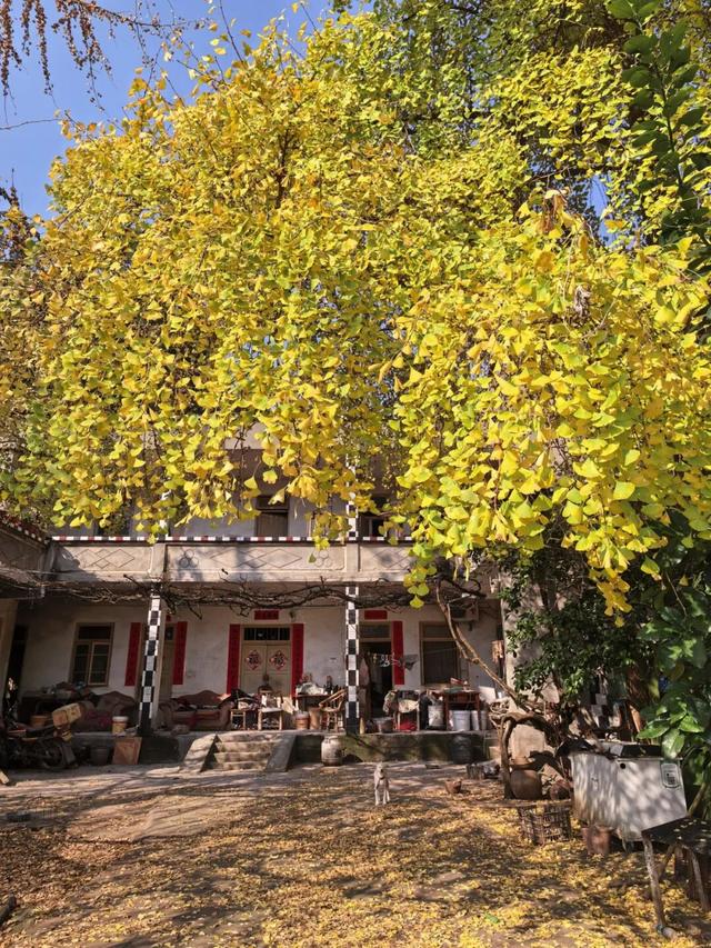 赶紧拍照去！龙泉驿出片指南来了→