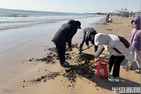 挖沙、赶海，沙滩上的快乐风景图片