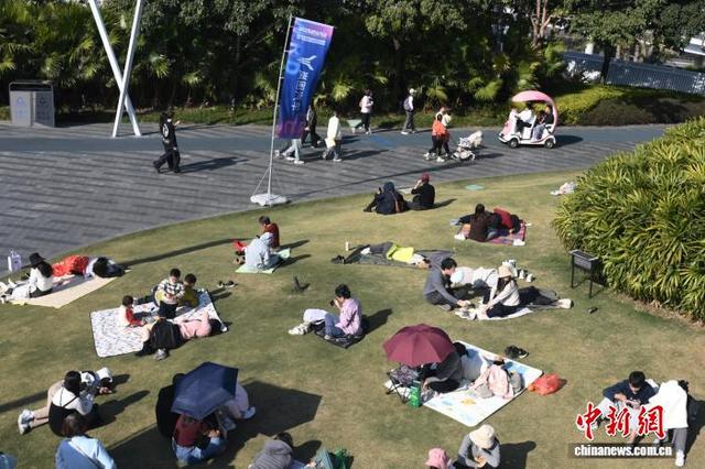 广东深圳天气晴好 民众享受冬日时光