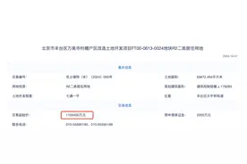 起始价110.54亿元！北京年内第三宗百亿元级“巨无霸”地块来了图片