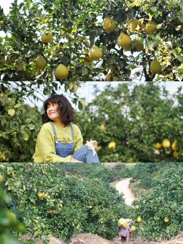 八桂秋韵！举起相机，把广西秋色拍成旅行基金！