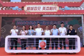 椰城香见 美荔相约| 2024椰城香见·海口火山荔枝月正式启动图片