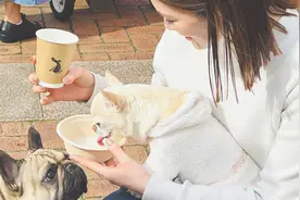 爱犬和主人可同饮！日企推出一款甜酒，据称能改善“肠道环境”图片