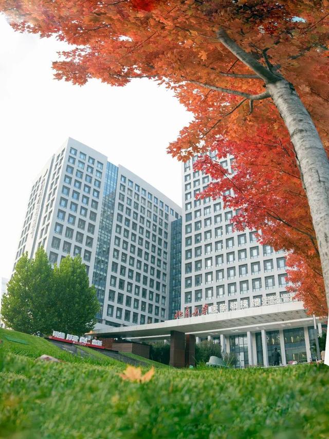 藏不住了！攒了整个秋天的北医美景，立冬前全部分享！