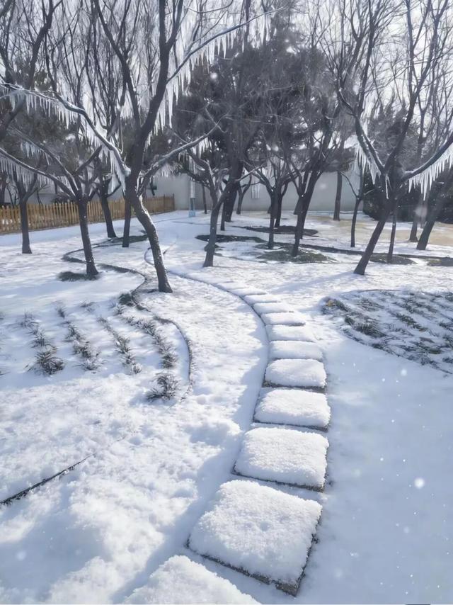 雪后的日照，美成水墨画！附最新闭园公告！