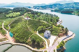 团风县牛车河环库乡村振兴产业路成“顶流”图片