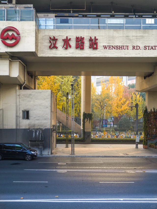 出站即是大片！上海秋日最美地铁站已上线→
