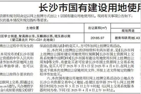 长沙市国有建设用地使用权网上挂牌出让公告图片