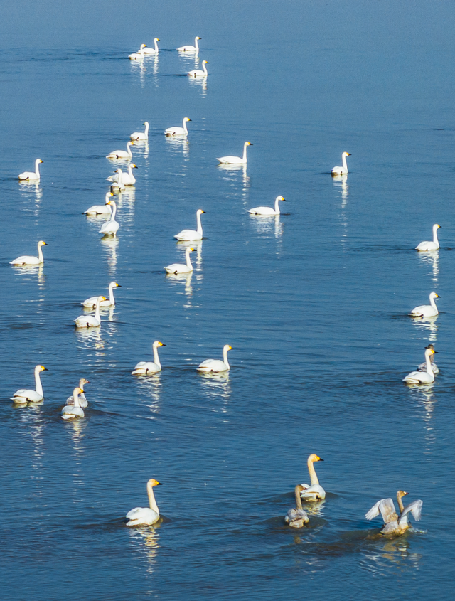 溧水秋天，有点好“骑”~