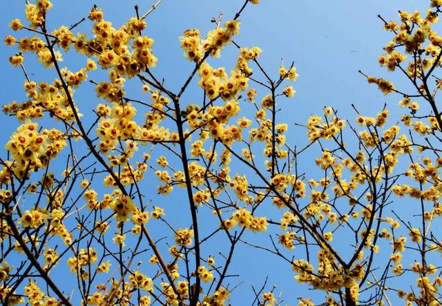 “冬游保康”，藏着整个冬天的浪漫与温暖