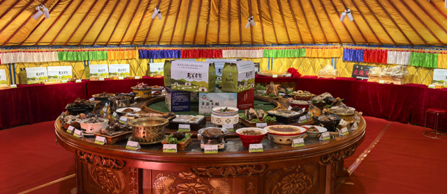 这个冬天，猫在巴彦淖尔才是幸福事