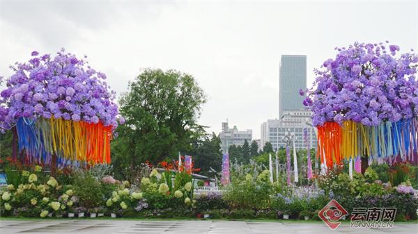 昆明东风广场现创意打卡点 市民沉浸“花乐”时光