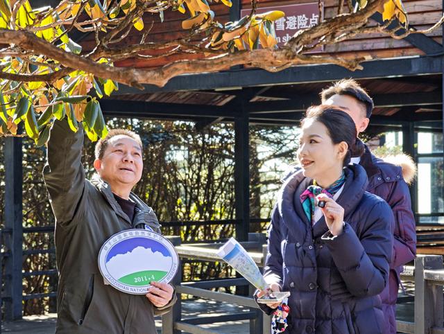 云端守护“滇中第一山”！这场跨界直播解锁自然科普及生态保护新体验