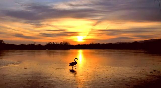 品	，乾隆笔下的御园冬景