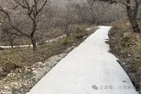 【新闻特写】一条上山路，托起一条特色产业链图片