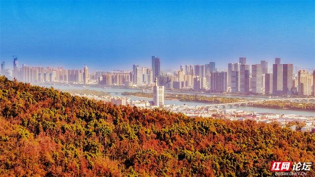 岁暖时刻丨这个季节的岳麓山，连风都是温柔的