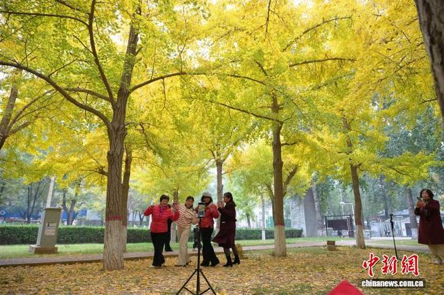 河北石家庄秋韵浓