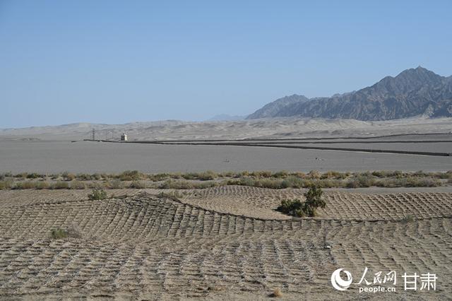 2025“世界市长对话·敦煌”｜千年莫高窟，如何抵御风沙？