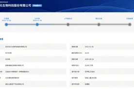 科创板第五套标准重启，首单IPO上会的究竟是啥企业？图片