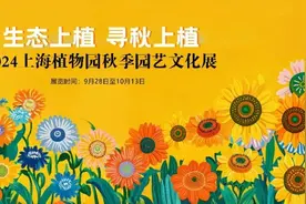 上海植物园秋季园艺文化展开幕~用“赏秋十景”带你品味秋天图片