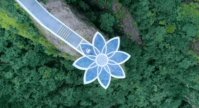 乐游台州丨外交部发言人毛宁全球力荐神仙居如意桥！全国大学生暑期免费游~